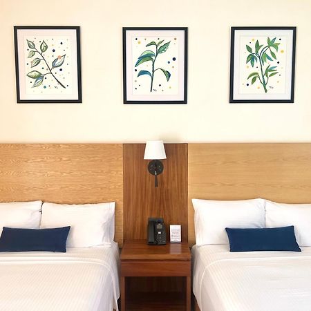 Hotel Plaza Rioverde Río Verde Dış mekan fotoğraf