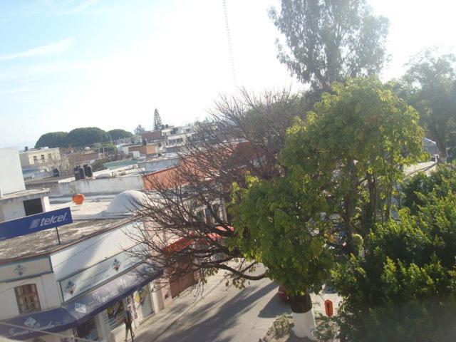 Hotel Plaza Rioverde Río Verde Dış mekan fotoğraf